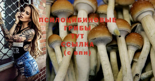 прущий лед Абаза