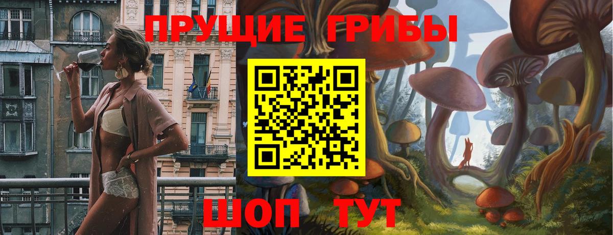 Тулун  цена наркотик  Вход с VPN  Галлюциногенные грибы Psilocybe  Псилоцибиновые грибы GOLDEN TEACHER 